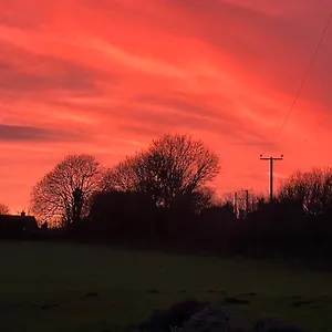 Hael Farm Swansea